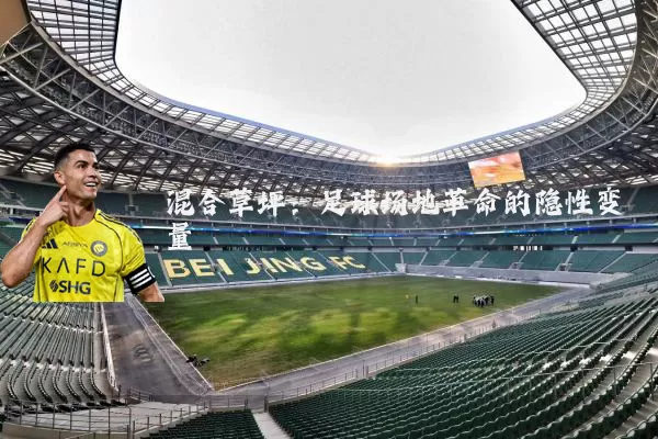 混合草坪：足球场地革命的隐性变量